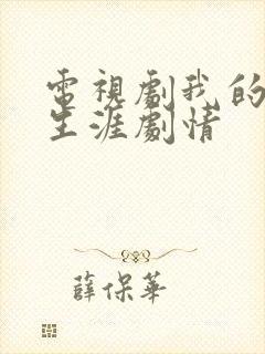 电视剧我的绝密生涯剧情