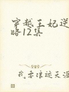 穿越王妃逆袭攻略12集