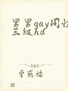 男男gay同性三级hd