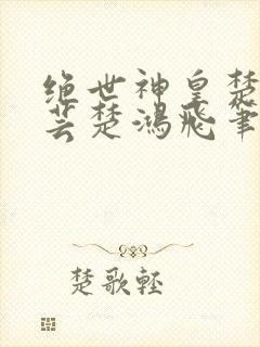 绝世神皇楚风楚芸楚鸿飞笔趣阁