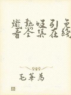 炽热吸引免费观看全集在线播放国语版