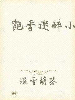 艳香迷醉小说封面