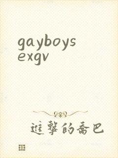 gayboysexgv