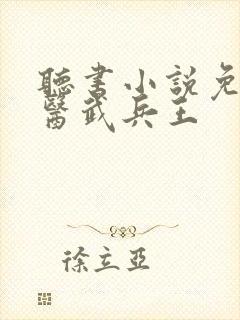 听书小说免费听医武兵王