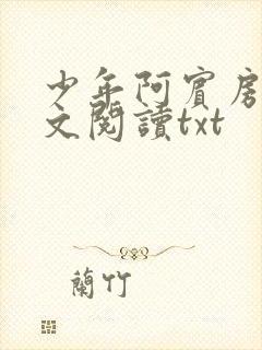 少年阿宾房东全文阅读txt