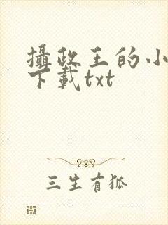 摄政王的小闲妻下载txt