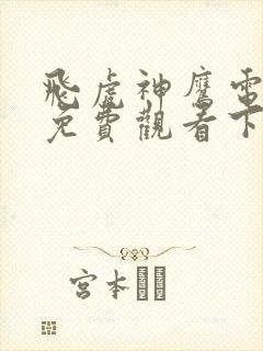 飞虎神鹰电视剧免费观看下载