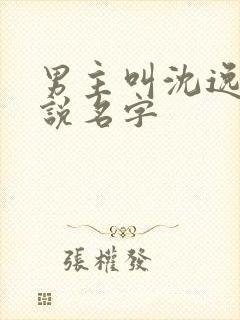 男主叫沈逸的小说名字