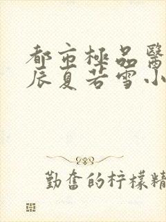 都市极品医神叶辰夏若雪小说在线阅读免费