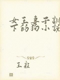 女王妻子训化脚下的狗小说免费阅读