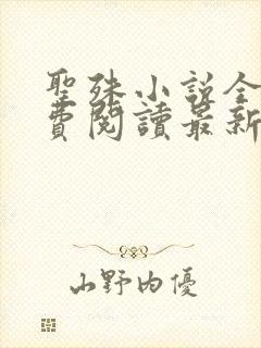 圣殊小说全文免费阅读最新章节封面