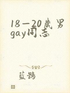 18—20岁男gay同志