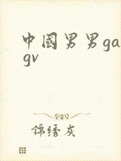 中国男男gay gv封面