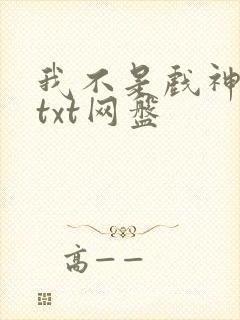 我不是戏神小说txt网盘