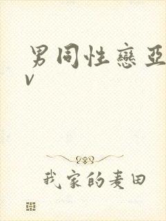 男同性恋亚洲av