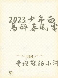 2023少年白马醉春风电视剧33集播放封面