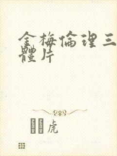 金梅伦理三级裸体片