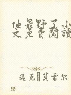 他最野了小说全文免费阅读