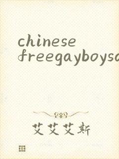 chinesefreegayboysandbigcocks封面