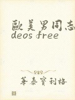 欧美男同志videos free