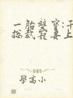 一胎双宝:千亿总裁宠妻上瘾