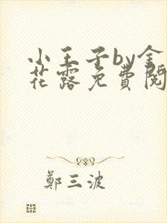 小王子by金银花露免费阅读笔趣阁