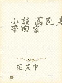 小说 国民老公带回家封面
