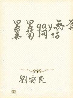 男男gay无套暴菊网站