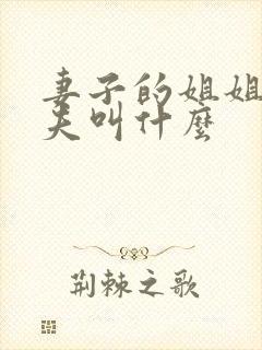 妻子的姐姐的丈夫叫什么