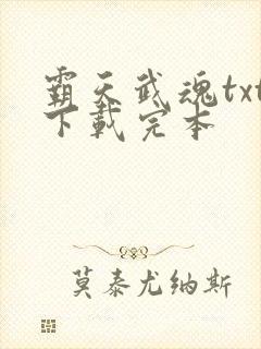 霸天武魂txt下载完本封面
