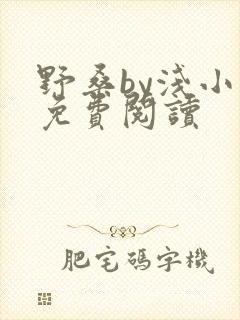 野桑by浅小说免费阅读