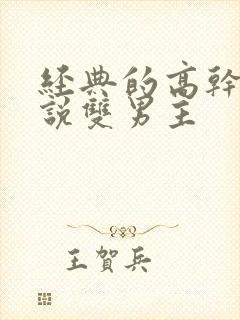 经典的高干文小说双男主封面