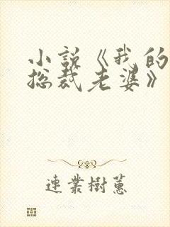 小说《我的冰山总裁老婆》