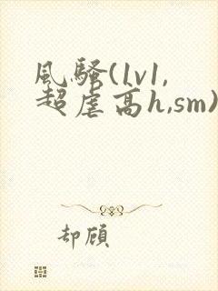 风骚(1v1,超虐高h,sm)