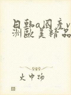 日韩a国产v亚洲欧美精品