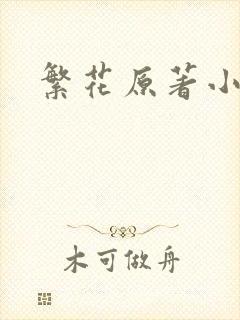 繁花原著小说