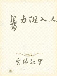 用力挺入人妻后菊封面