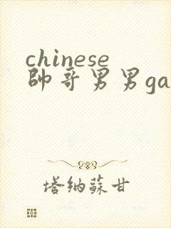 chinese帅哥男男gaygay网站
