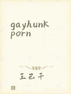 gayhunkporn封面