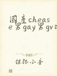 国产chease男gay男gv浪小辉
