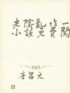 光阴乱作一团的小说免费阅读