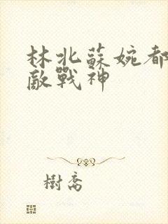 林北苏婉都市无敌战神封面