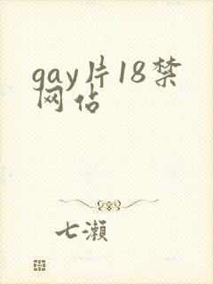 gay片18禁网站