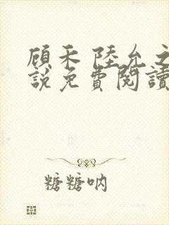 顾禾 陆允之小说免费阅读封面