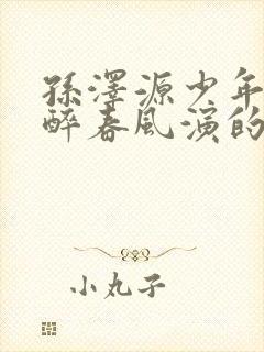 孙泽源少年白马醉春风演的谁