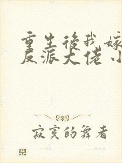 重生后我嫁给了反派大佬 小说