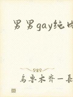 男男gay纯肉