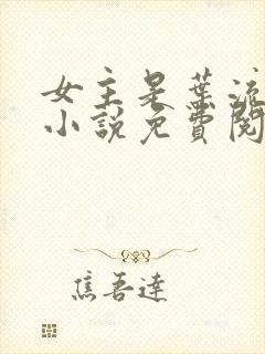 女主是叶流锦的小说免费阅读封面