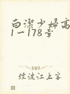 白洁少妇高义第1一178章封面