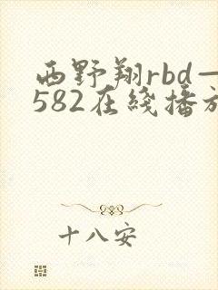 西野翔rbd—582在线播放封面
